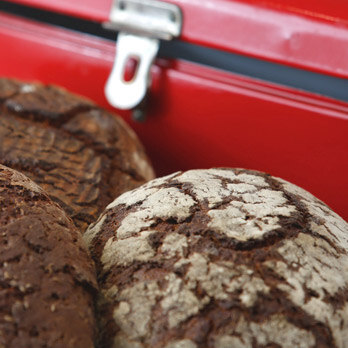 Brood